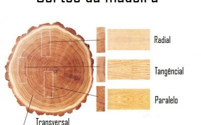 Anatomia da Madeira na Luteria