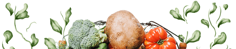 Organic Farming Illustrations 02