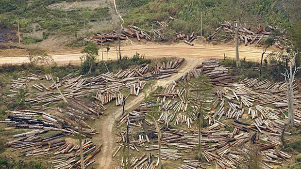 Madeiras para Fundo e Laterais de Voolões