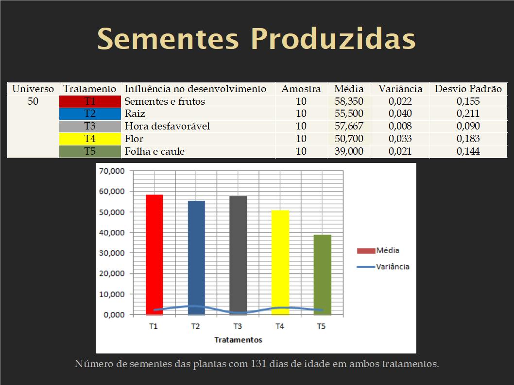 Rathunde Atelier Permacultura Feijão