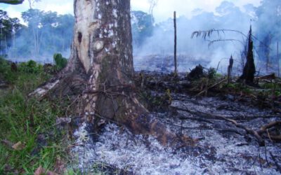 O maior problema Ecológico do Mundo