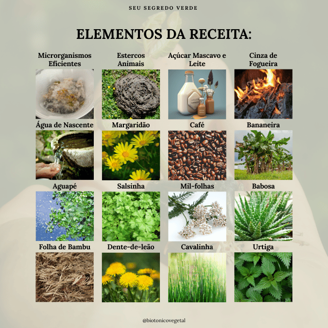 Biotônico Vegetal SERESSÚ ecocultural