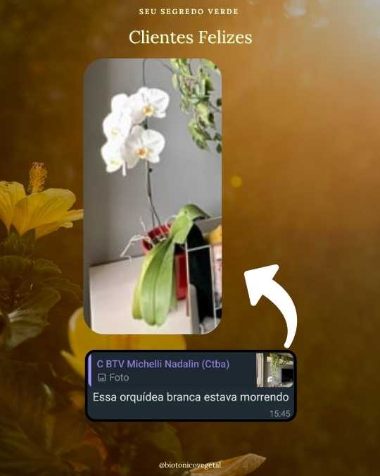 SERESSÚ ecocultural 22