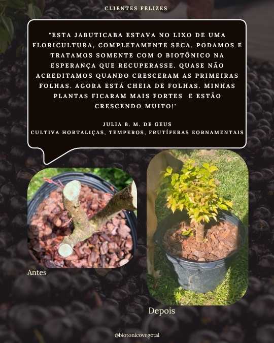 SERESSÚ ecocultural 24