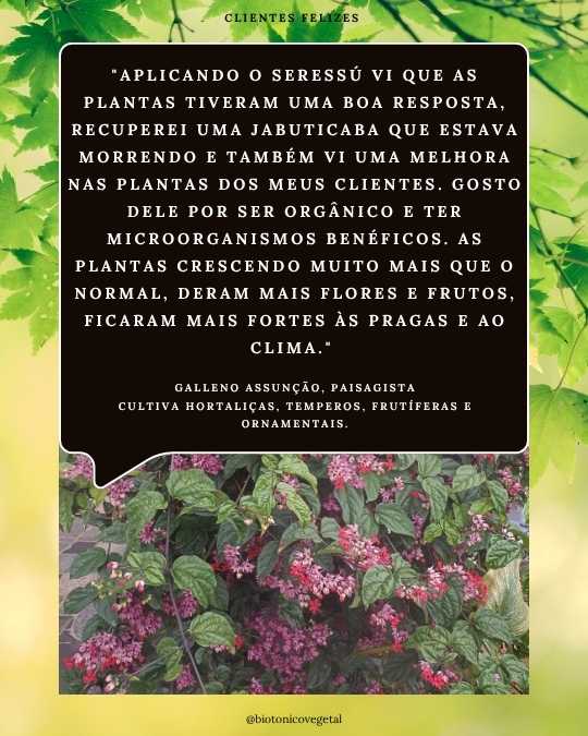 SERESSÚ ecocultural 25