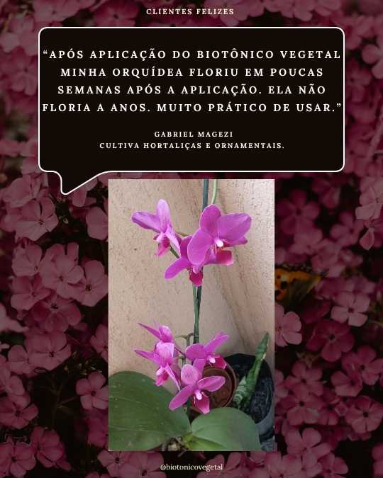 SERESSÚ ecocultural 26