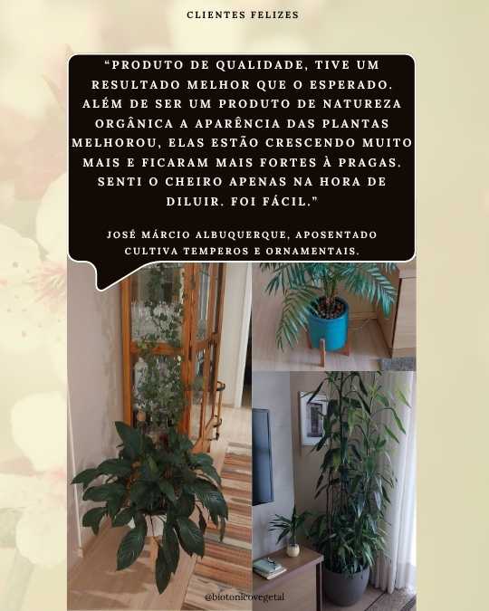 SERESSÚ ecocultural 28