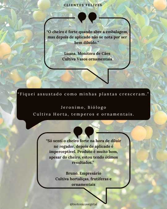 SERESSÚ ecocultural 29