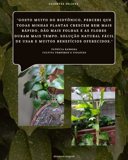 SERESSÚ ecocultural 30