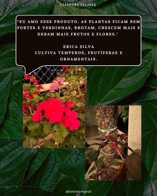 SERESSÚ ecocultural 31