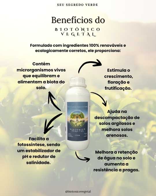 SERESSÚ ecocultural 4