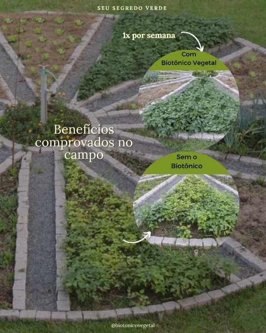 SERESSÚ ecocultural 6