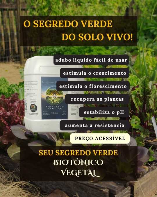 SERESSÚ ecocultural AD03 9x16 2