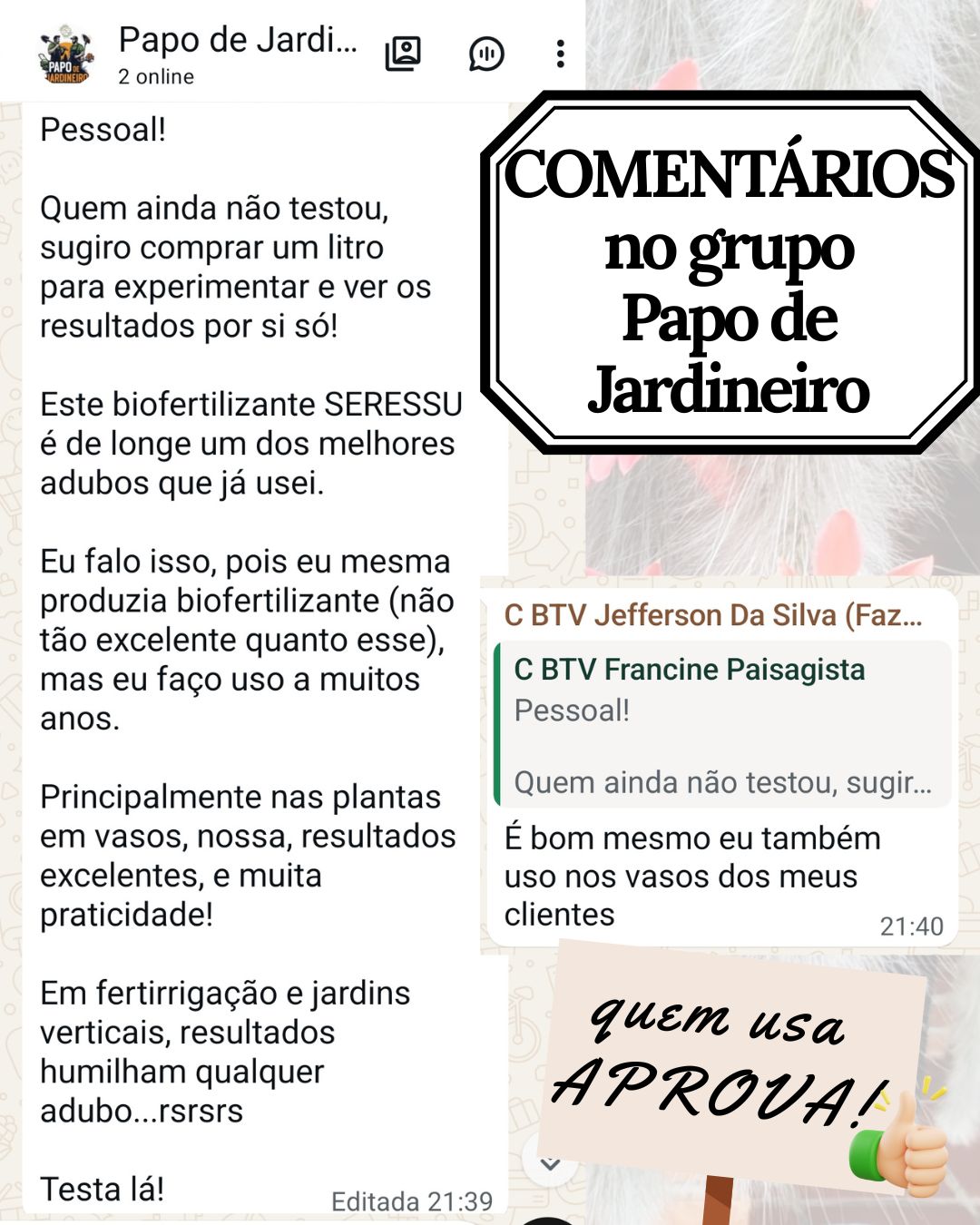 Grupo Papo de Jardineiro — Francine e comentários, quem usa aprova