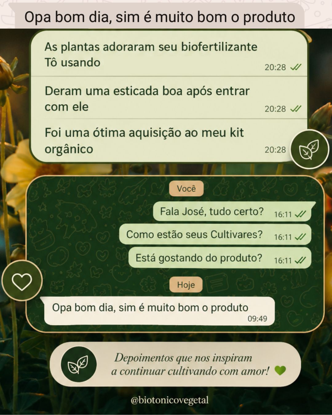 José — as plantas adoraram o biofertilizante