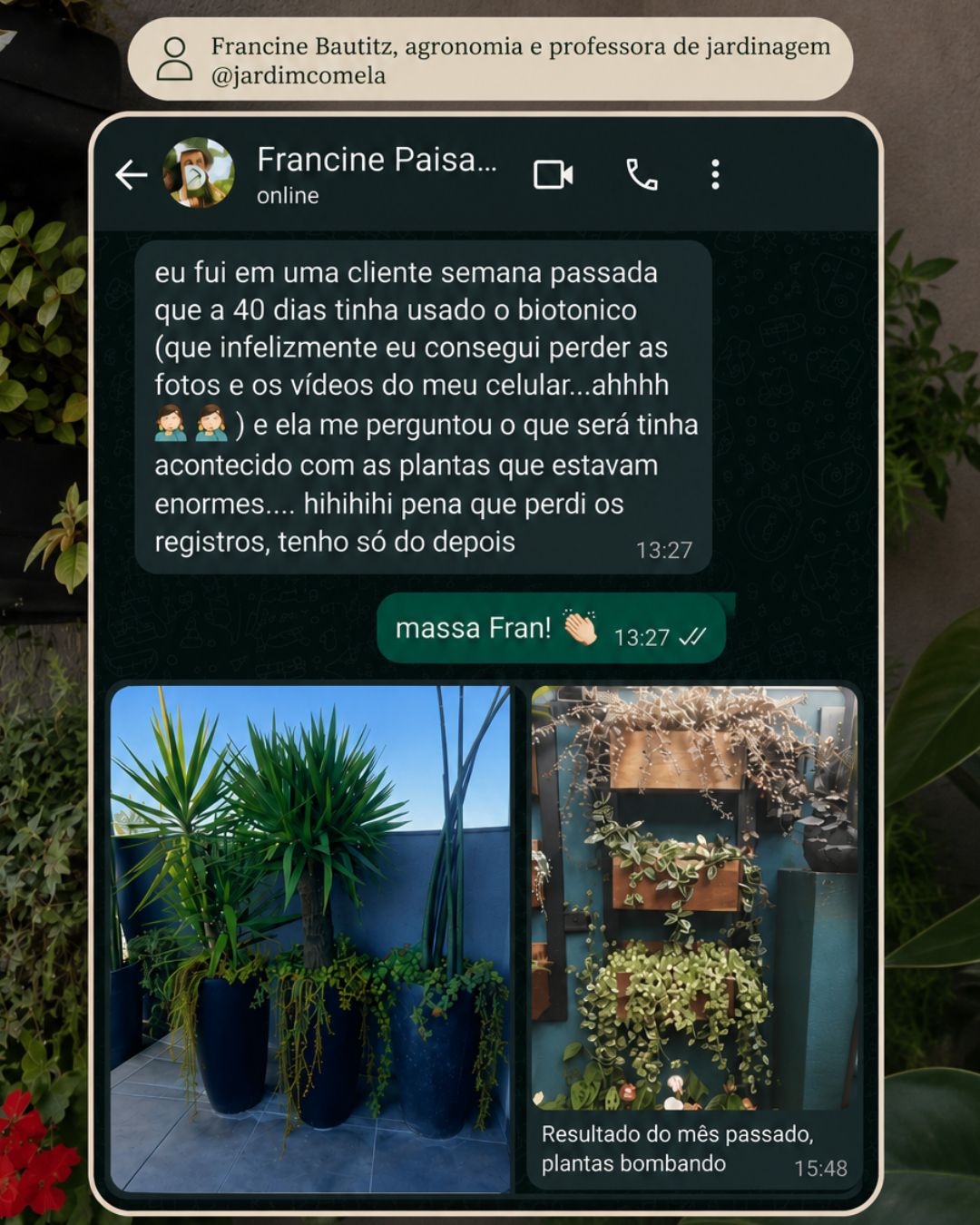 Francine Bautitz — professora de jardinagem, print do WhatsApp sobre os 40 dias