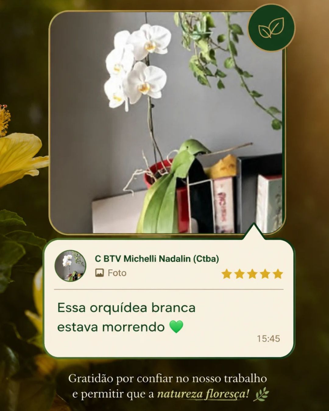 Michelli Nadalin — orquídea branca recuperada