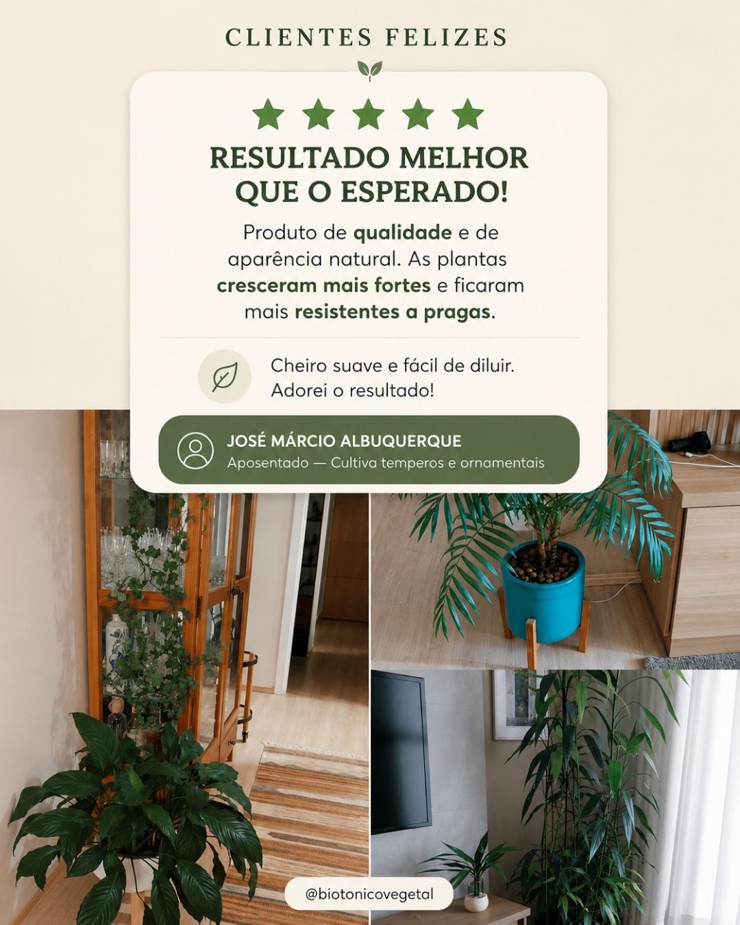 José Márcio Albuquerque — aposentado, plantas grandes em casa